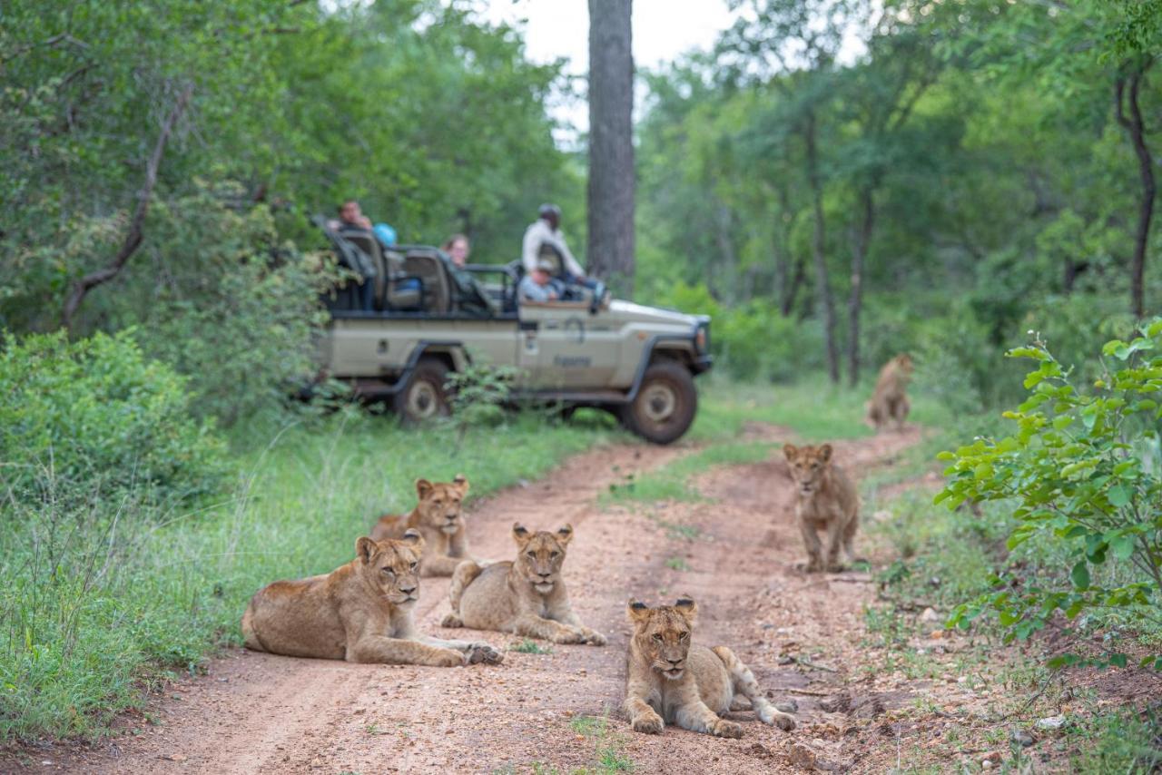 Villa Kapama Karula Kapama Game Reserve Esterno foto
