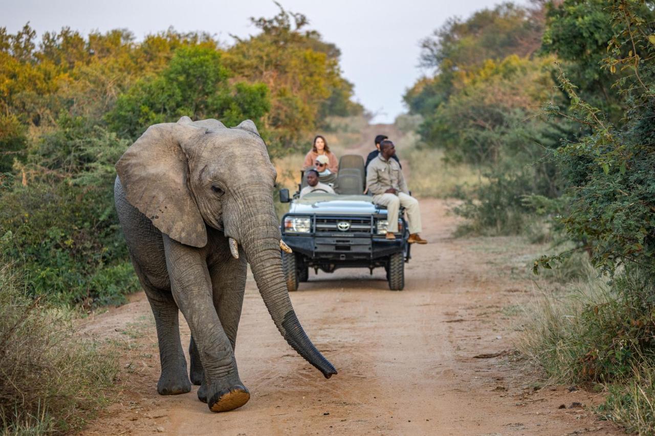 Villa Kapama Karula Kapama Game Reserve Esterno foto